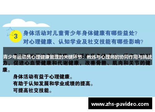 青少年运动员心理健康管理的关键环节：教练与心理师的协同作用与挑战