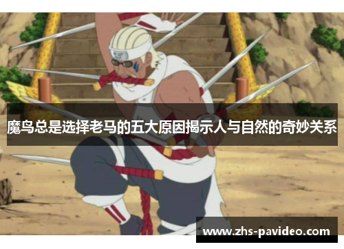 魔鸟总是选择老马的五大原因揭示人与自然的奇妙关系